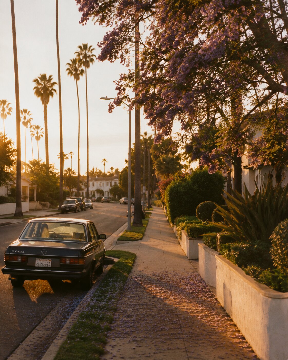 LA at golden hour